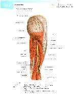 Sobotta  Atlas of Human Anatomy  Trunk, Viscera,Lower Limb Volume2 2006, page 369
